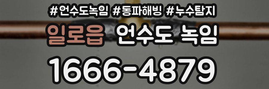 일로읍 언수도 녹임