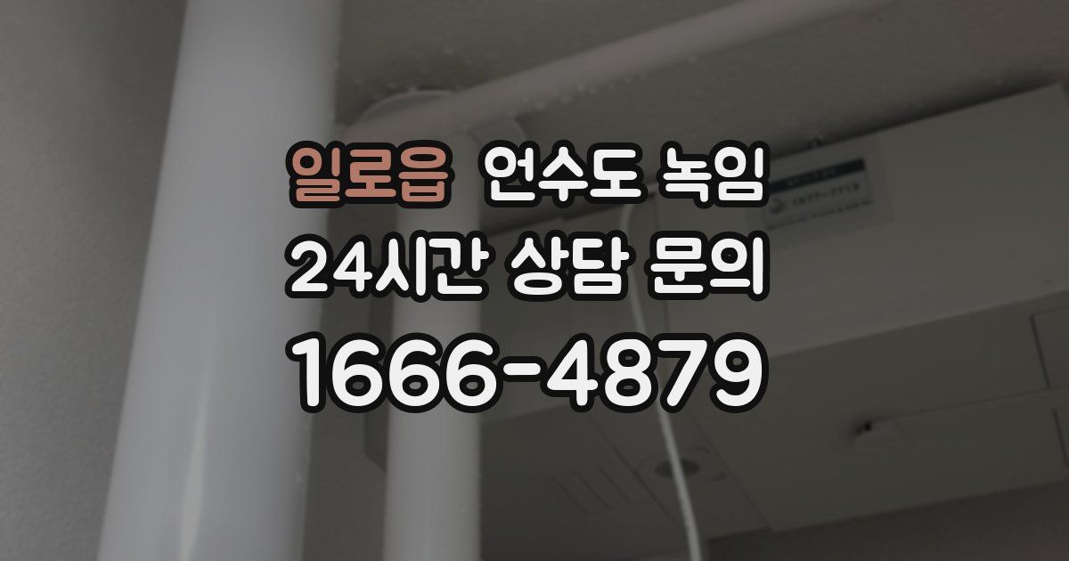 일로읍 언수도 녹임