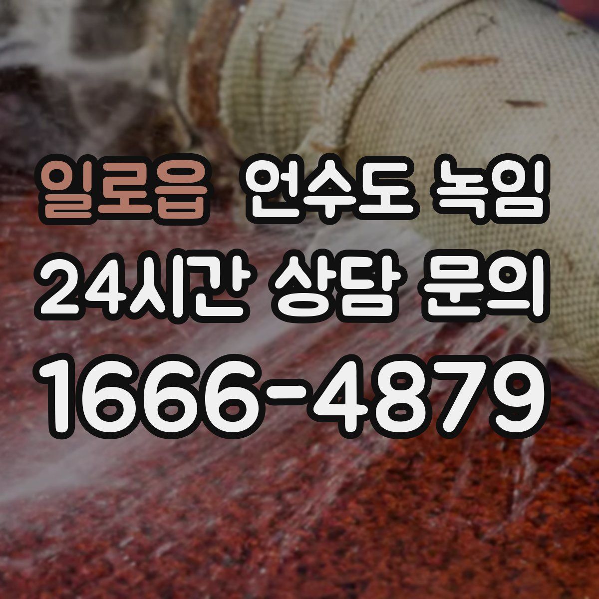 일로읍 언수도 녹임