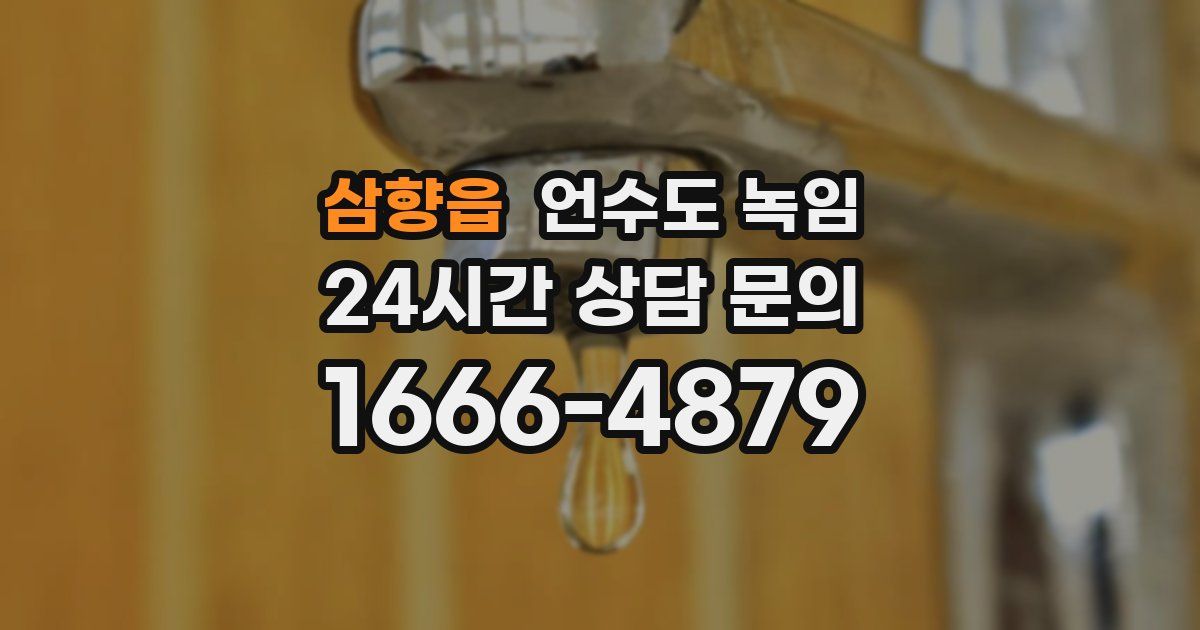 삼향읍 언수도 녹임