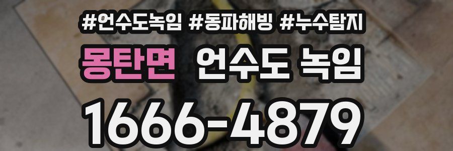 몽탄면 언수도 녹임