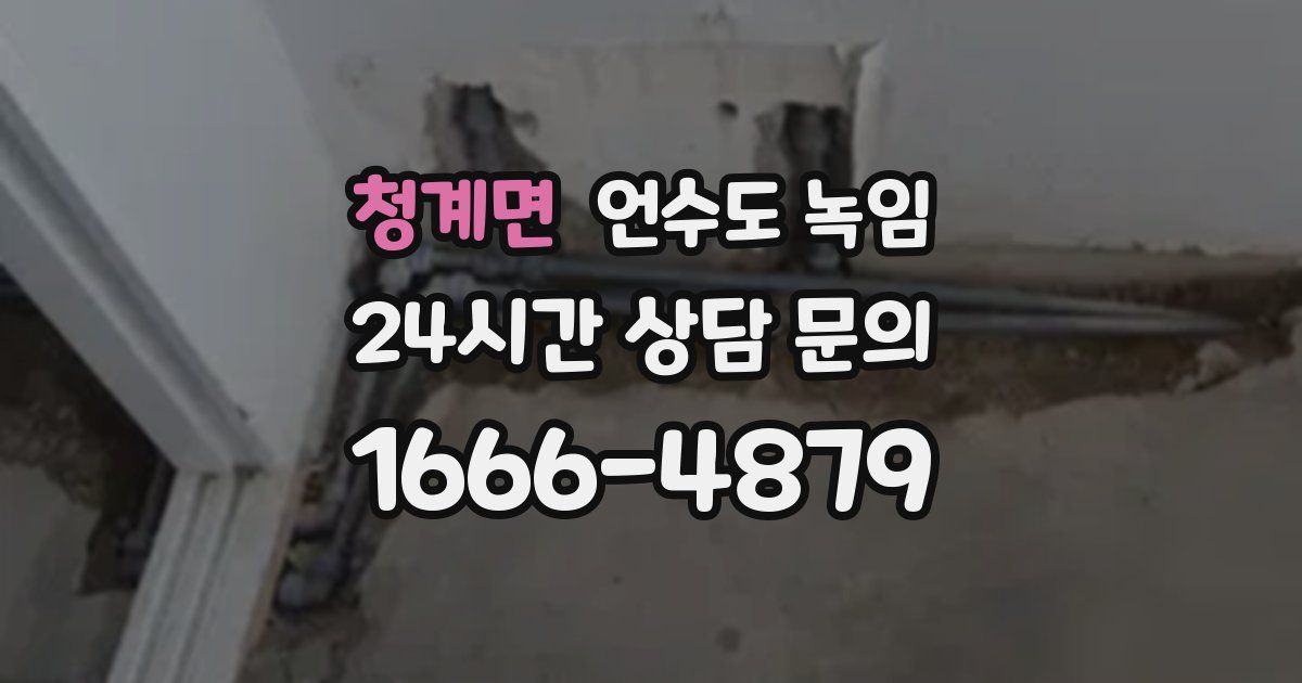 청계면 언수도 녹임