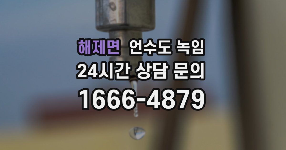 해제면 언수도 녹임