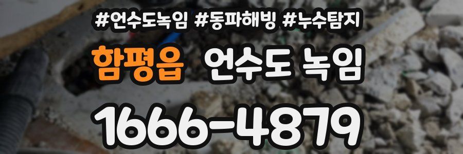 함평읍 언수도 녹임