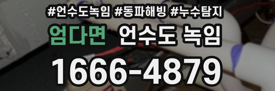 엄다면 언수도 녹임