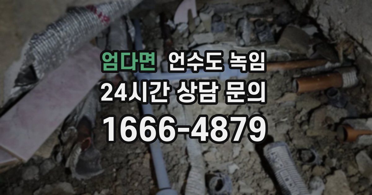 엄다면 언수도 녹임