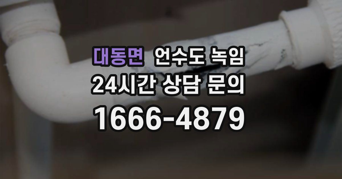 대동면 언수도 녹임