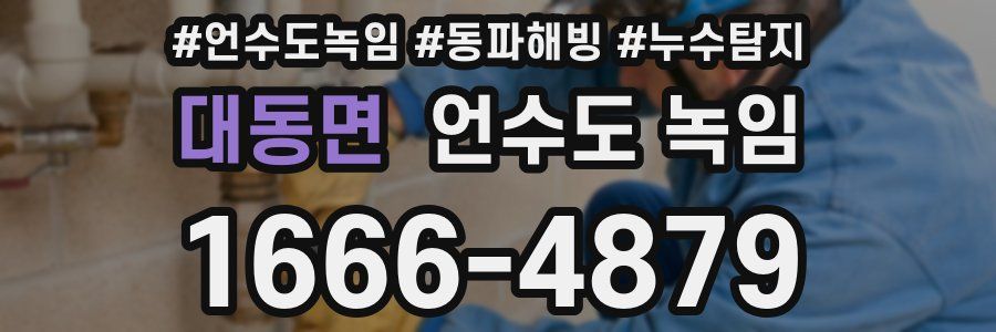 대동면 언수도 녹임