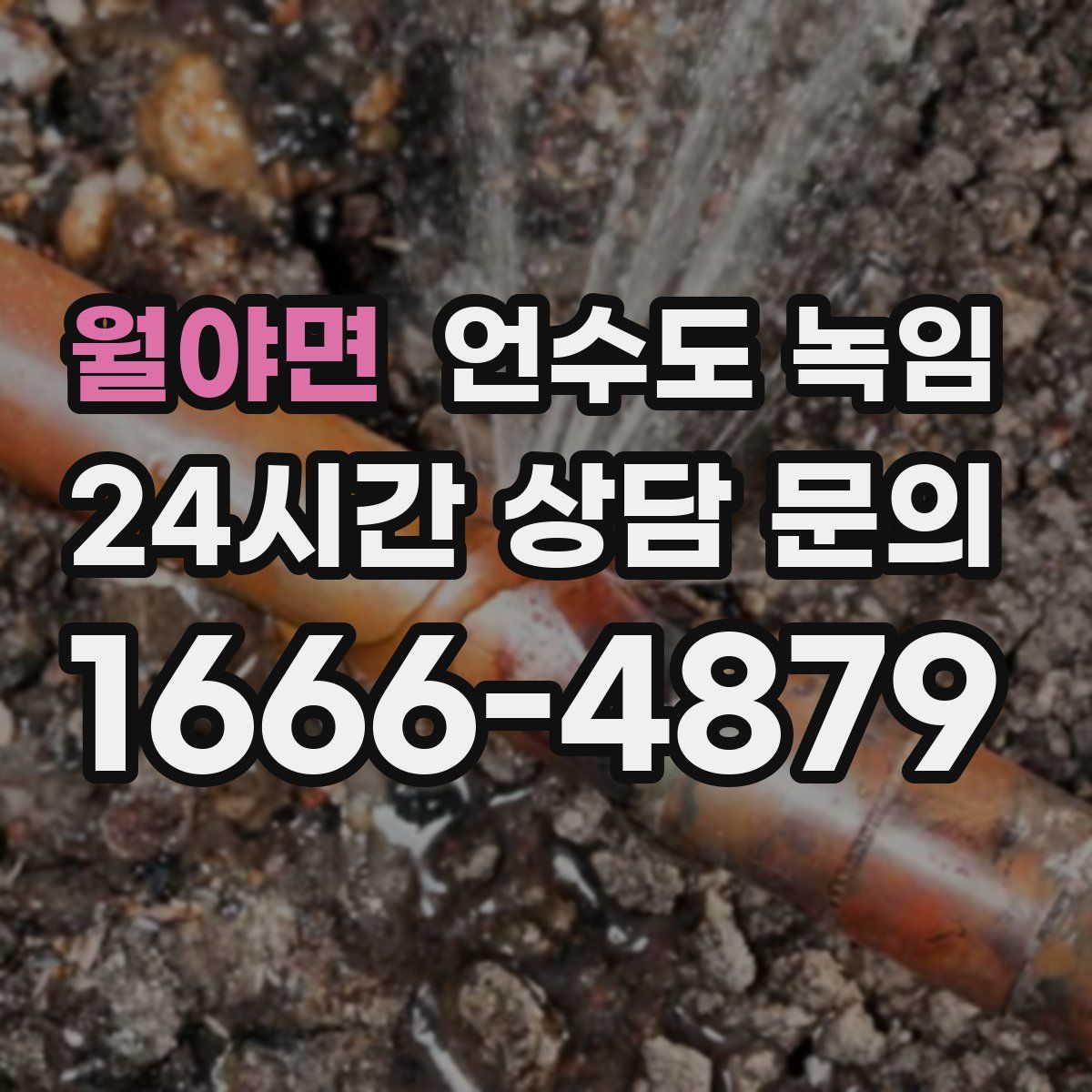 월야면 언수도 녹임