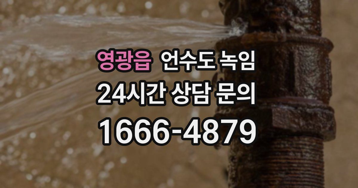 영광읍 언수도 녹임