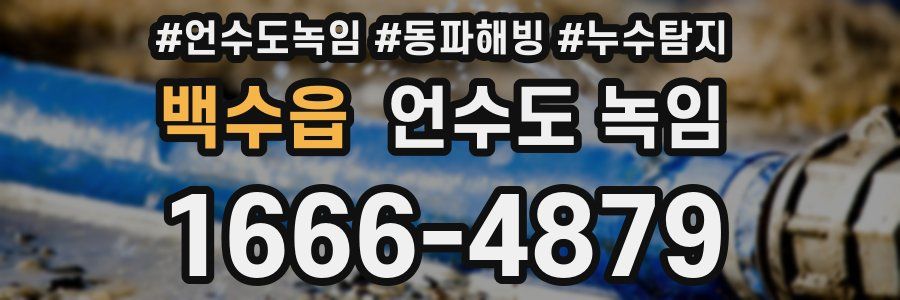 백수읍 언수도 녹임