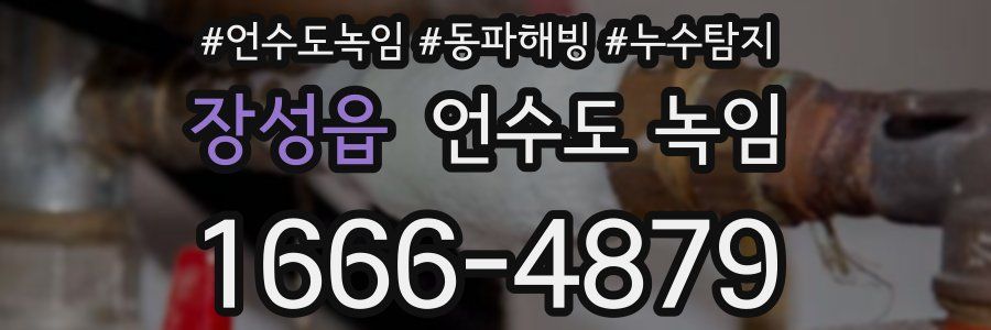 장성읍 언수도 녹임