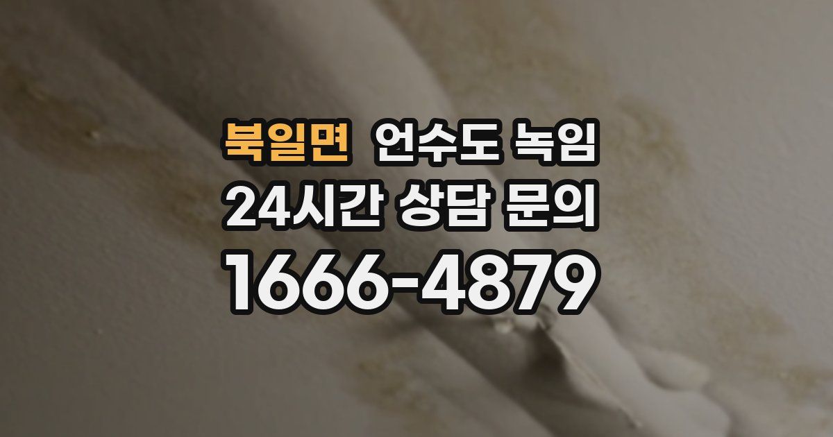 북일면 언수도 녹임