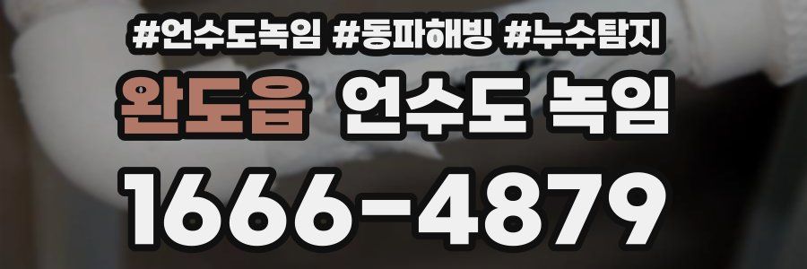 완도읍 언수도 녹임