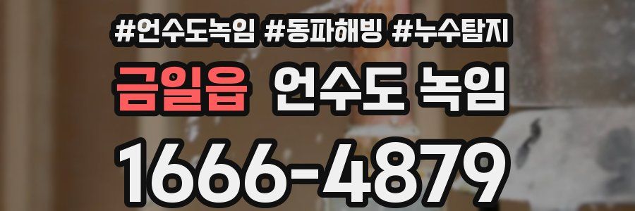 금일읍 언수도 녹임