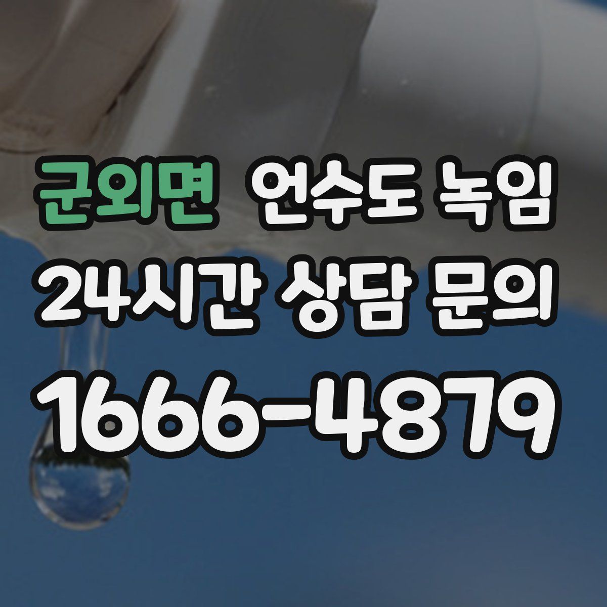 군외면 언수도 녹임