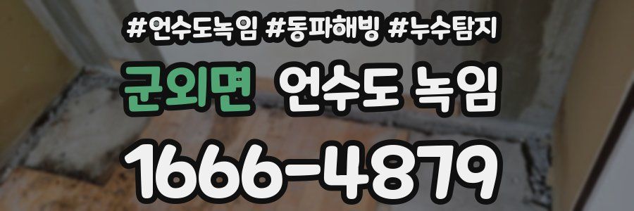 군외면 언수도 녹임