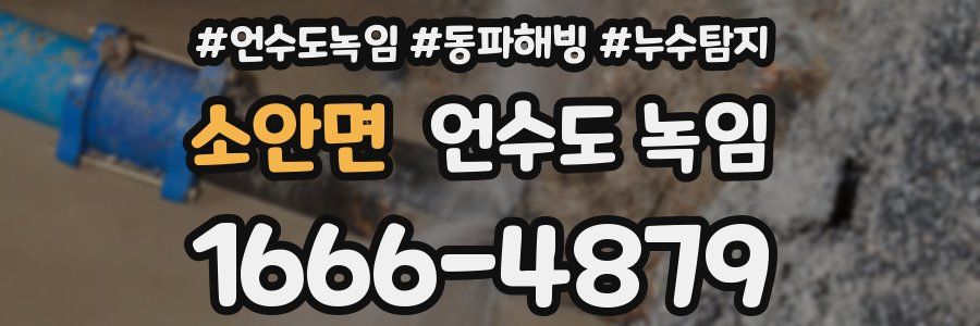 소안면 언수도 녹임