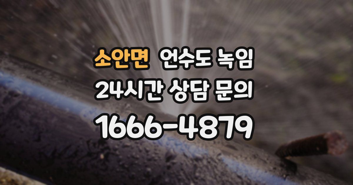 소안면 언수도 녹임