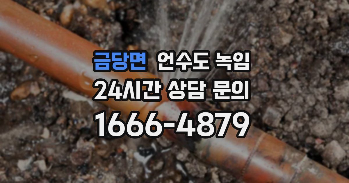 금당면 언수도 녹임