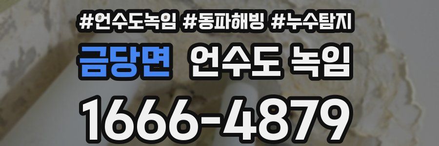 금당면 언수도 녹임