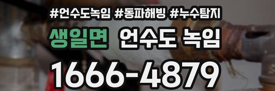 생일면 언수도 녹임