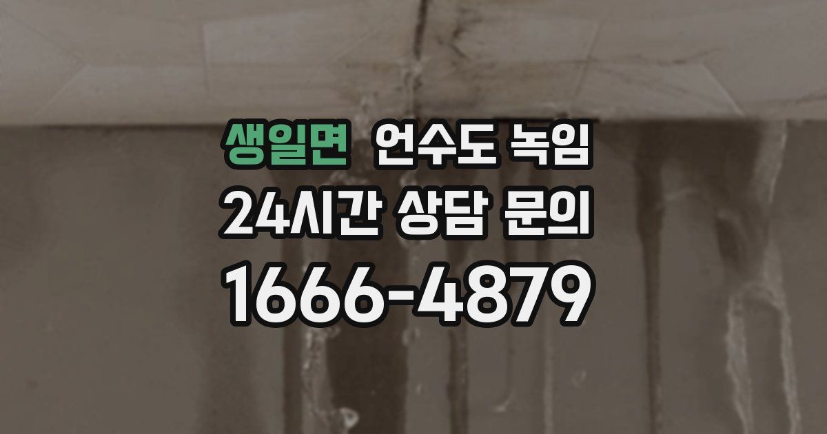 생일면 언수도 녹임