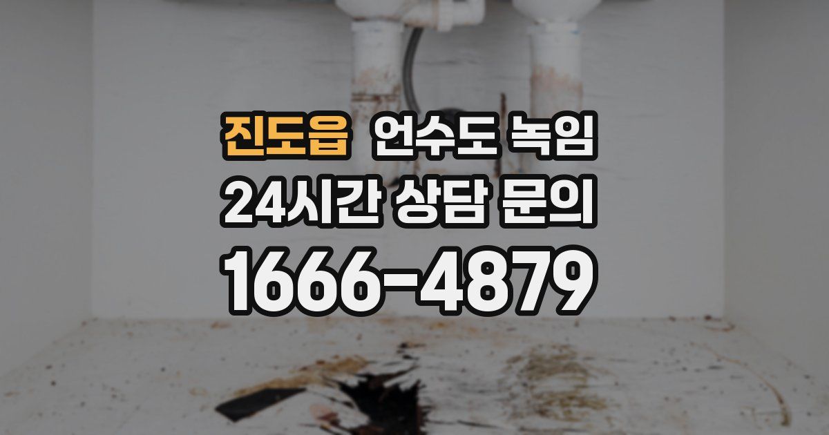 진도읍 언수도 녹임