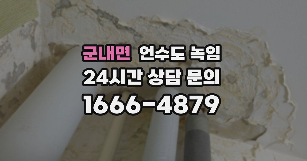 군내면 언수도 녹임