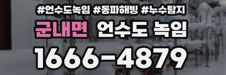 군내면 언수도 녹임