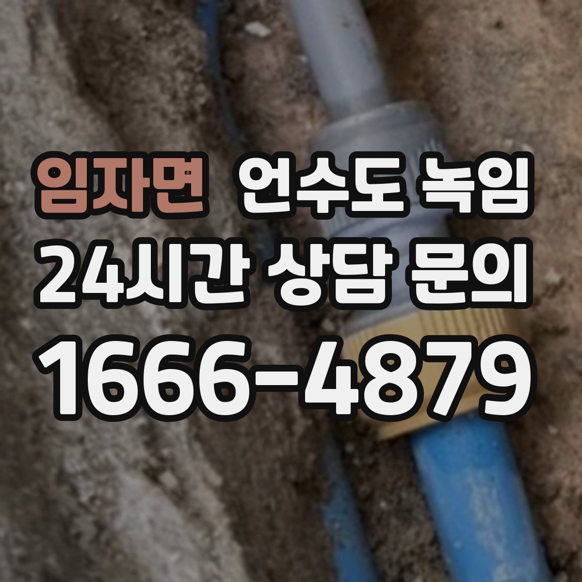 임자면 언수도 녹임