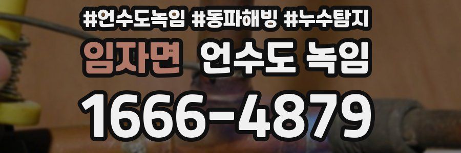 임자면 언수도 녹임