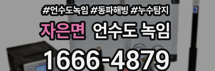 자은면 언수도 녹임