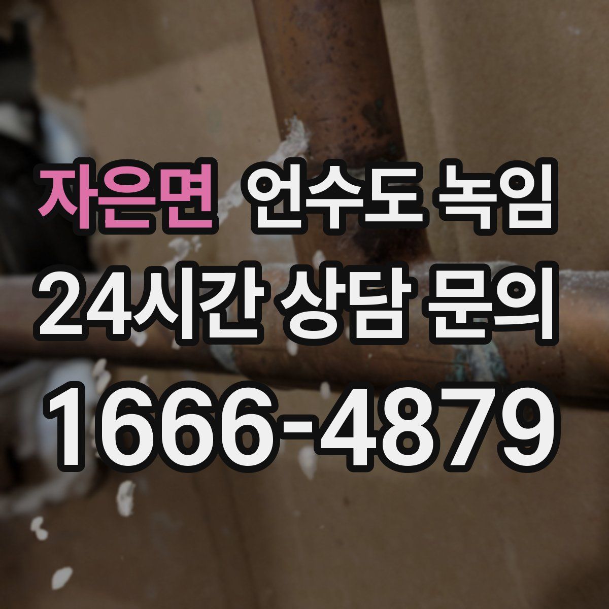 자은면 언수도 녹임