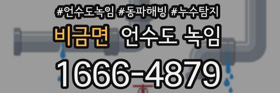 비금면 언수도 녹임