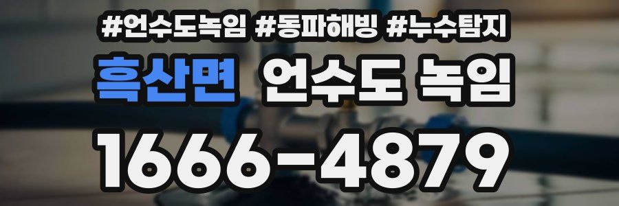 흑산면 언수도 녹임