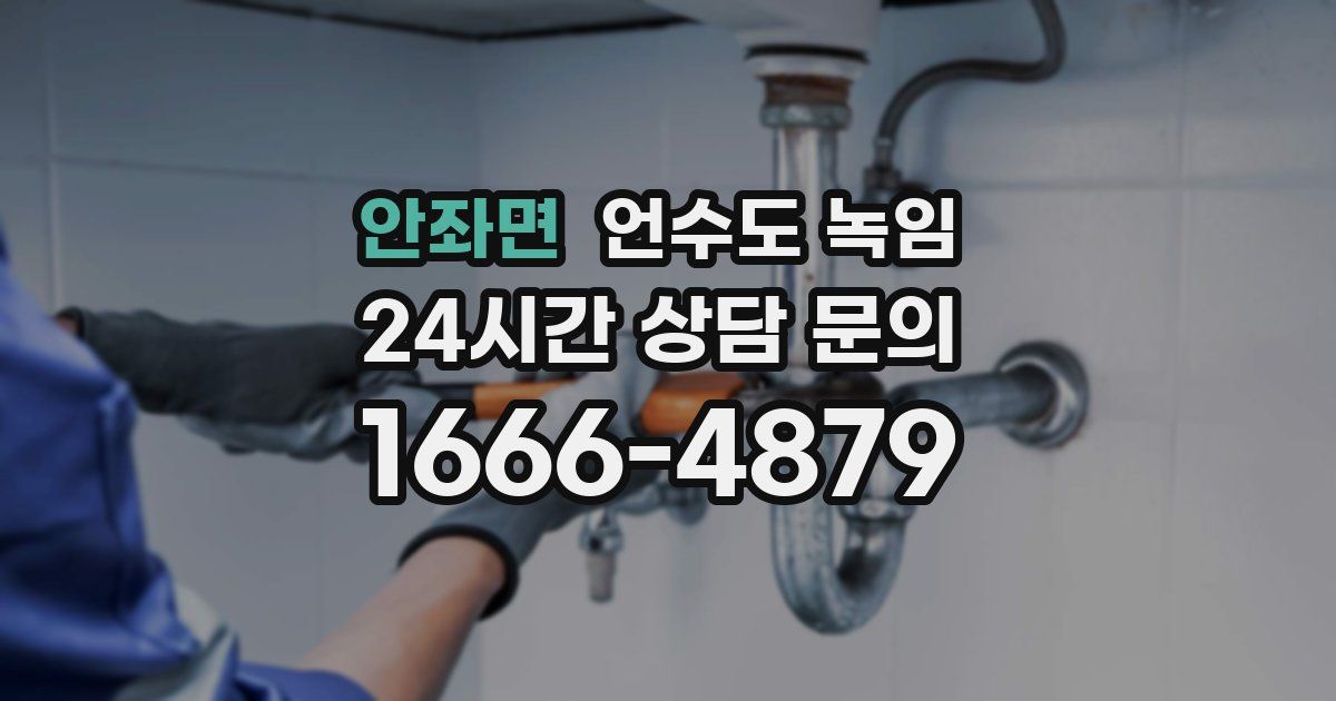 안좌면 언수도 녹임