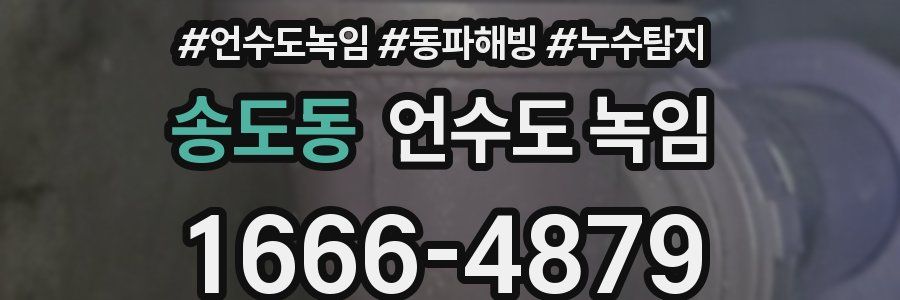 송도동 언수도 녹임