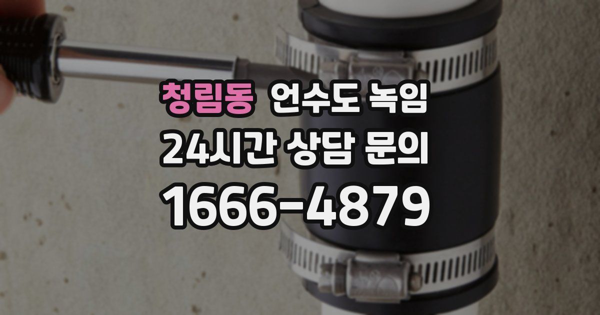 청림동 언수도 녹임