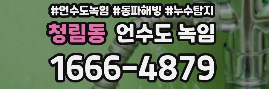 청림동 언수도 녹임