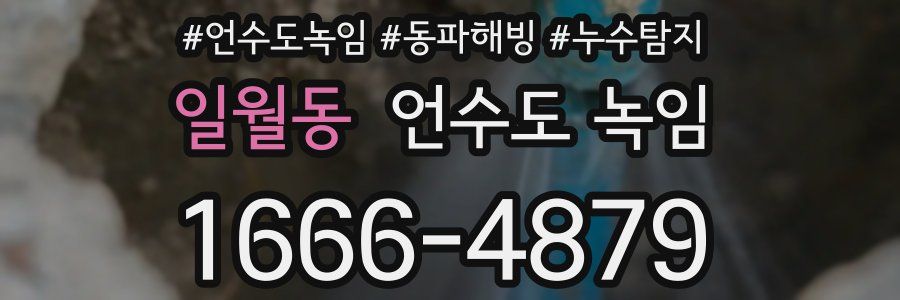 일월동 언수도 녹임