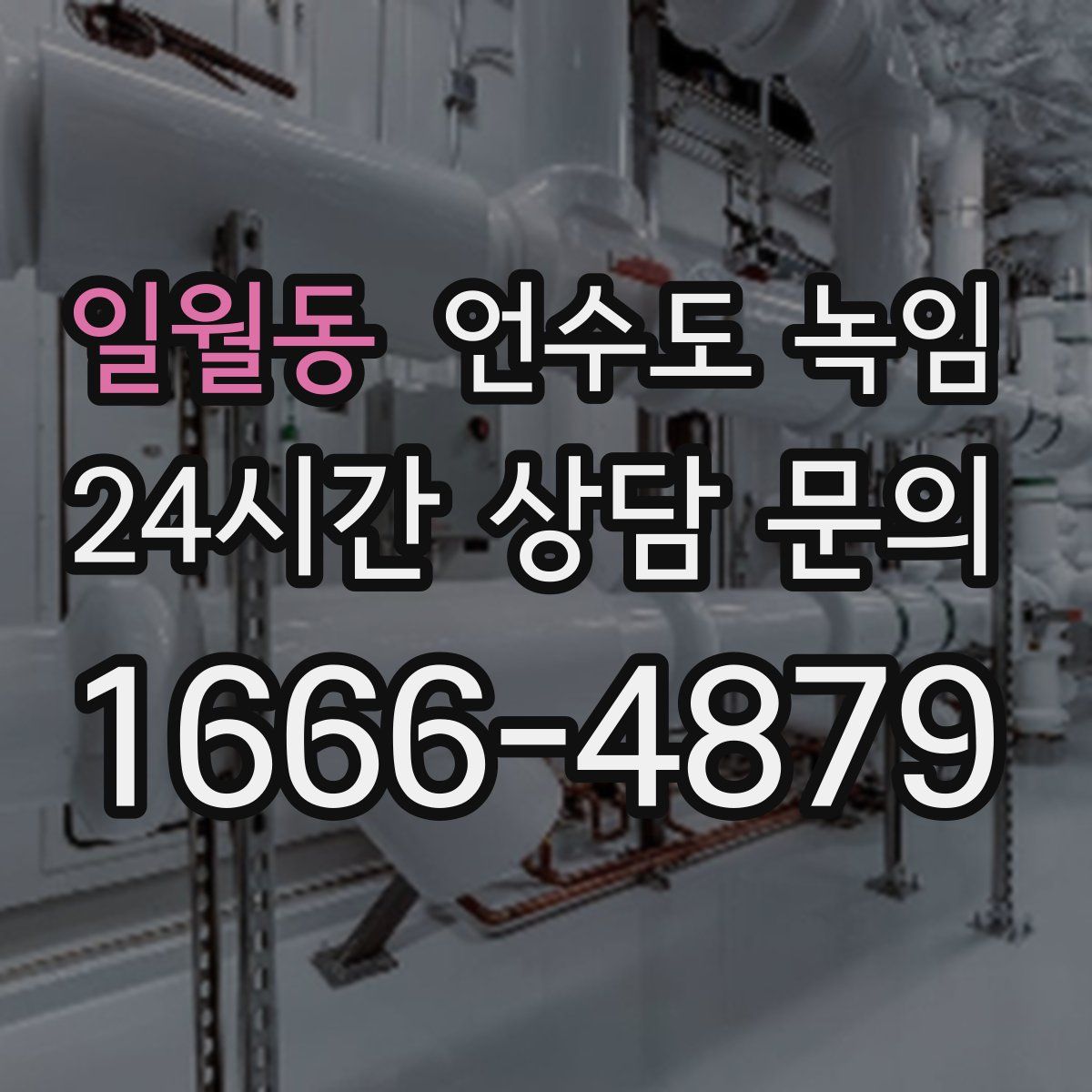 일월동 언수도 녹임