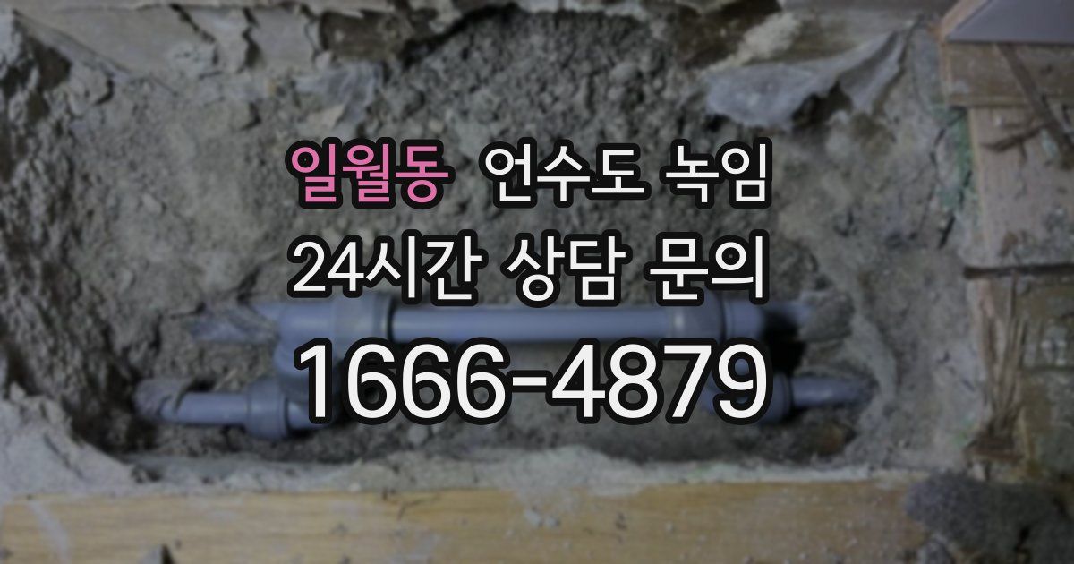 일월동 언수도 녹임