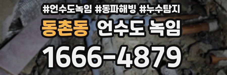 동촌동 언수도 녹임