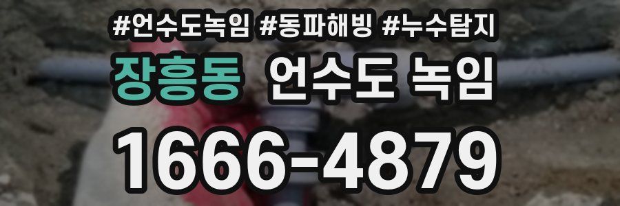 장흥동 언수도 녹임