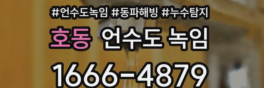 호동 언수도 녹임