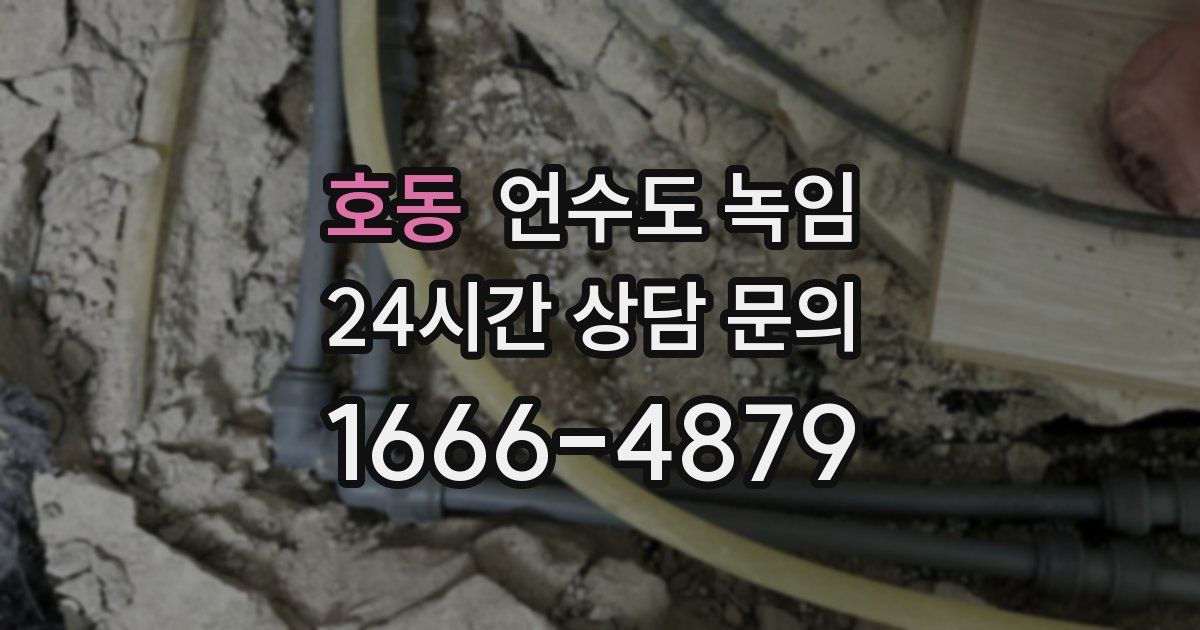 호동 언수도 녹임