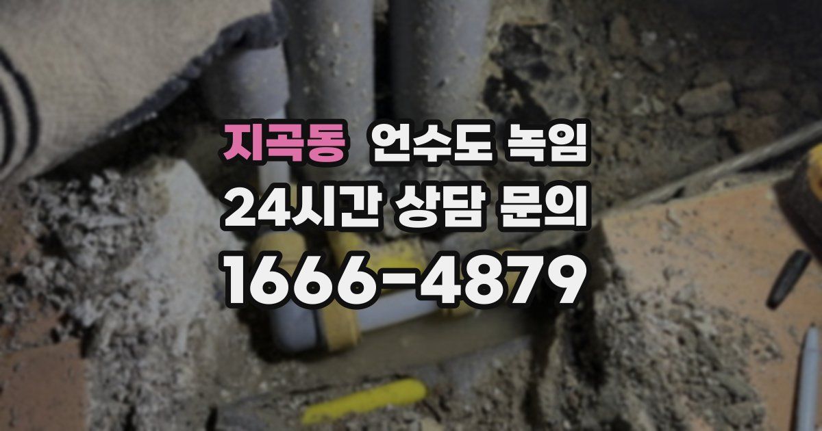 지곡동 언수도 녹임