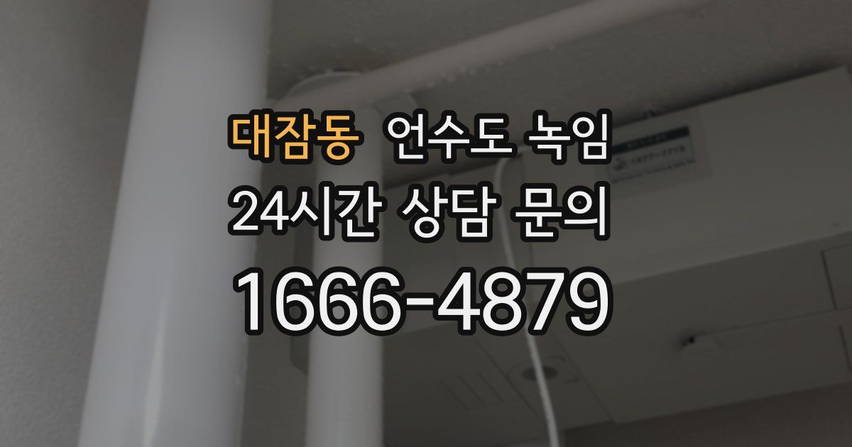 대잠동 언수도 녹임