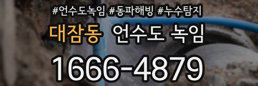 대잠동 언수도 녹임